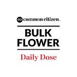 Common Citizen | Morning Diesel Bulk Flower (Smalls) by Common Citizen