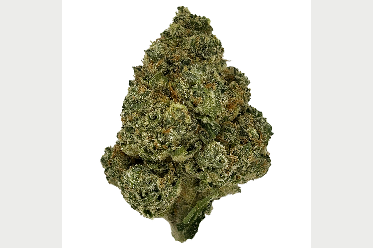 Common Citizen | Voodoo Larry Bulk Flower by Common Citizen