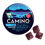 Midnight Blueberry Gummies | 20:4 THC:CBN | 200mg by Camino