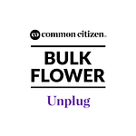 Scoops Bulk Flower (Smalls) by Common Citizen
