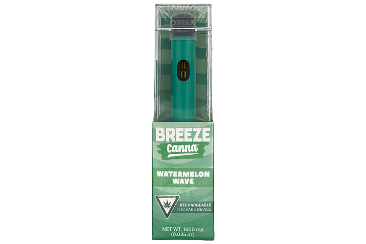 Watermelon Wave Disposable Vape | 1g by Breeze