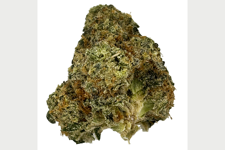 Plant Nerd | Soap Bulk Flower by Plant Nerd