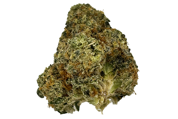 Plant Nerd | Soap Bulk Flower by Plant Nerd