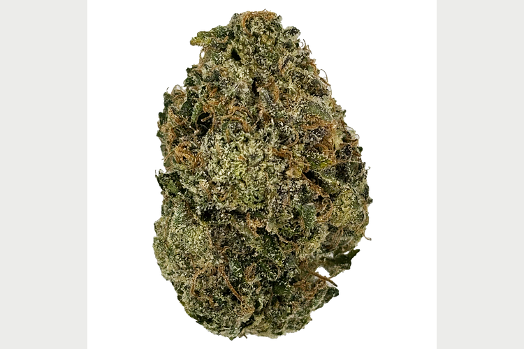 Society C | Omega Runtz Bulk Flower by Society C