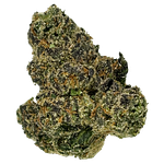 Z Lato Bulk Flower by Common Citizen