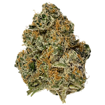 Freedom Green | Orange Julius Bulk Flower by Freedom Green
