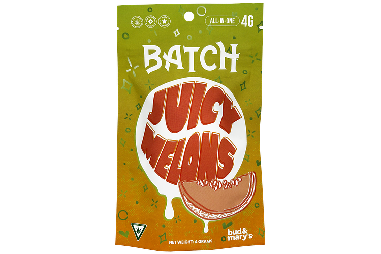 Batch | Juicy Melons All-In-One Vape | 4g by BATCH