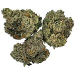 Blueberry Cruffin Bulk Flower by NURA