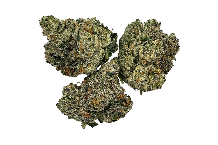 Blueberry Cruffin Bulk Flower by NURA