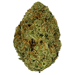 Franklin Fields | Jilly Glue Bulk Flower by Franklin Fields