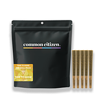 Trop Runtz Infused Pre-Roll Pack | 14x1g | 14g by Common Citizen