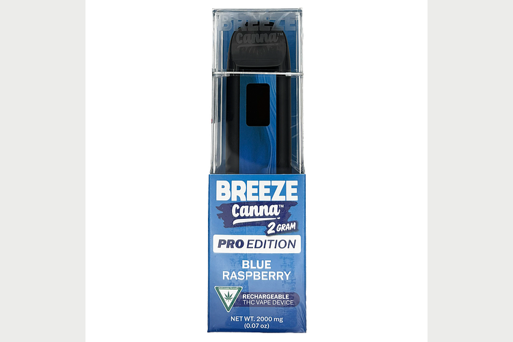 Breeze Pro | Blue Raspberry Disposable Vape | 2g by Breeze