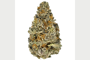 Glitter Bomb x Sweet Tea Deli Flower by Glorious Cannabis Co.