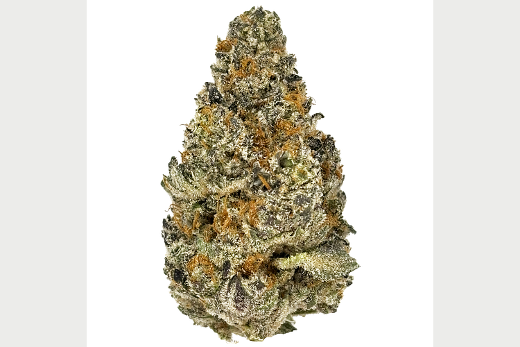 Glitter Bomb x Sweet Tea Deli Flower by Glorious Cannabis Co.
