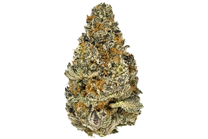 Glitter Bomb x Sweet Tea Deli Flower by Glorious Cannabis Co.