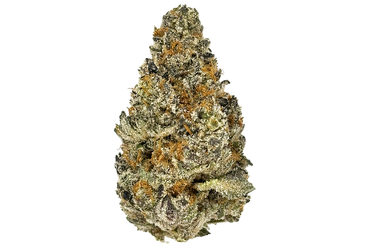 Glitter Bomb x Sweet Tea Deli Flower by Intrinsic