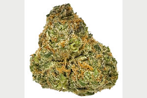 GMO Bulk Flower by Thunder Canna