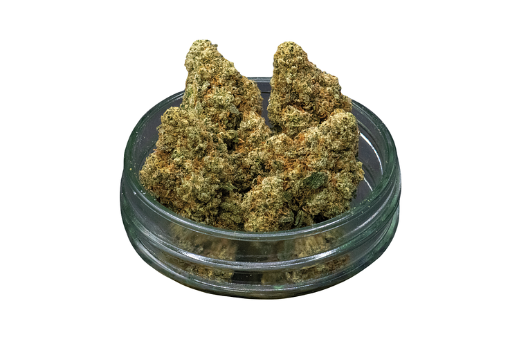 Shake | Common Citizen | Lemon Bar Bulk Flower Shake by Common Citizen