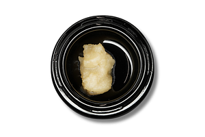 Daily Biscotti Live Rosin | 1g by Wojo