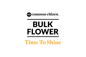 Sunny P Bulk Flower (Smalls) by Common Citizen