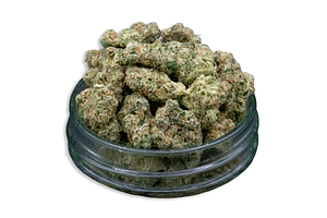 Common Citizen | Animal Mint Cake Bulk Flower (Smalls) by Common Citizen