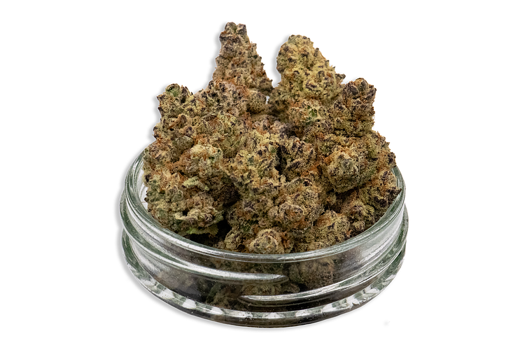 Common Citizen | Dante's Inferno Bulk Flower by Common Citizen