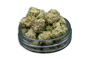 Detroit Purps Bulk Flower (Smalls) by Common Citizen