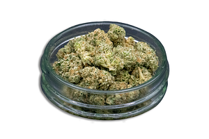 Lemon Bar Bulk Flower (Smalls) by Common Citizen