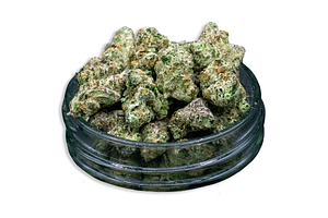Dracoz Bulk Flower (Smalls) by Common Citizen