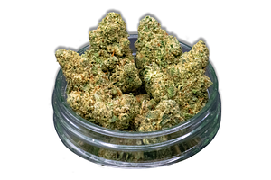Donny Burger Bulk Flower by Common Citizen