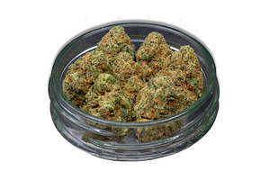 G13 Bulk Flower by Common Citizen