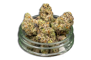 Dracoz Bulk Flower by Common Citizen