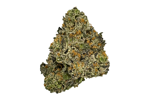 Tales From The Krypt Bulk Flower by Grown Rogue