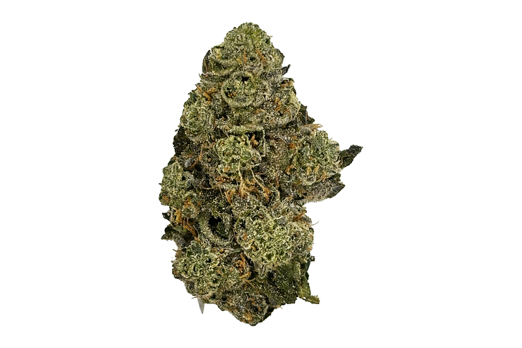 Astro Candy Bulk Flower by Grown Rogue