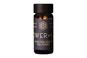 Runtz Jelly Pre-Roll Pack | 5x0.5g | 2.5g by Flower Of Life