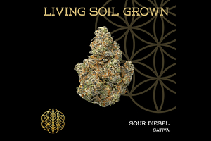 Sour Diesel Bulk Flower by Flower Of Life