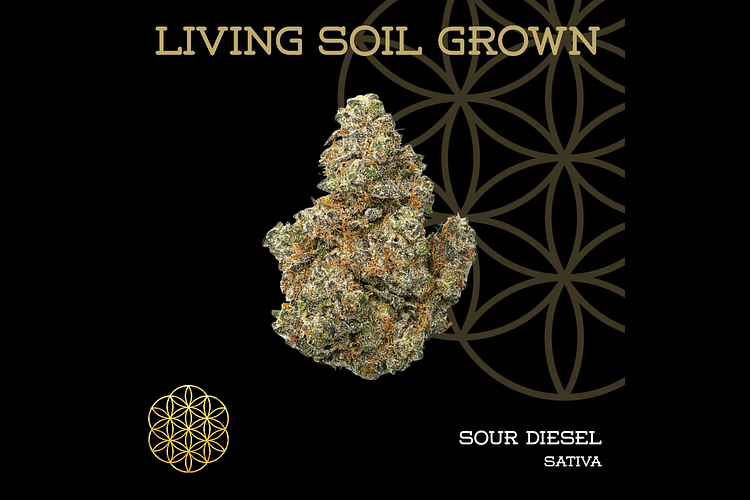 Sour Diesel Bulk Flower by Flower Of Life