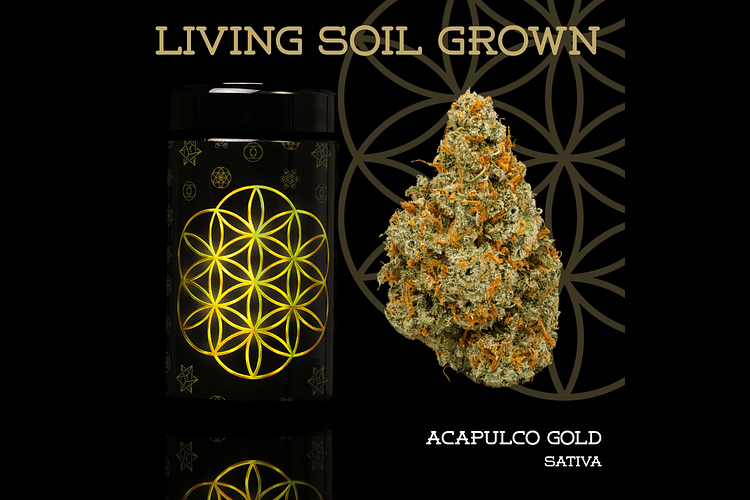 Acapulco Gold Bulk Flower by Flower Of Life