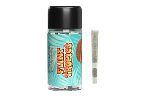 Flint Tropics Pre-Roll Pack | 5x0.5g | 2.5g by Michigander Fire