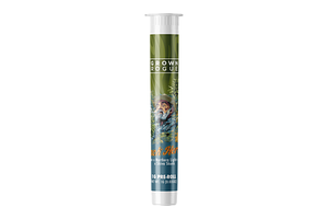 Jack Herer Pre-Roll | 1g by Grown Rogue