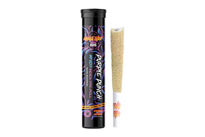 Purple Punch Tarantula Infused Pre-Roll | 1g by Jungle Juice
