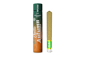 Cider Crumble Infused Pre-Roll XL | 2g by Jeeter