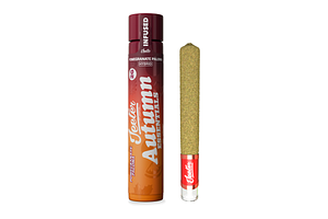Pomegranate Paloma Infused Pre-Roll XL | 2g by Jeeter