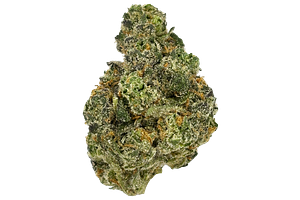 Intrinsic | Frosted Truffle Pie Bulk Flower by Glorious Cannabis Co.