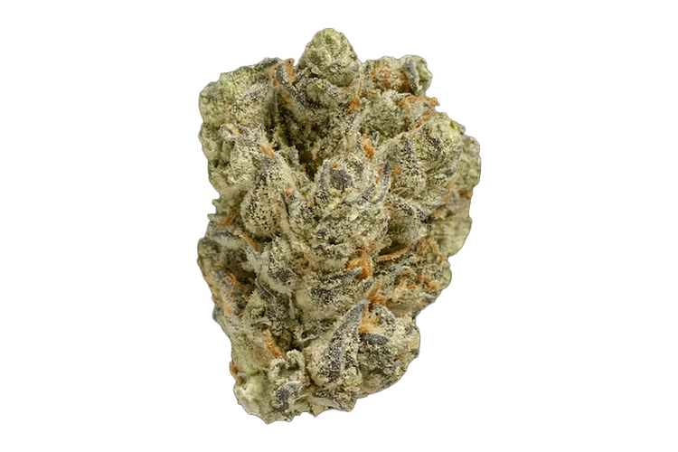 Peach Goblin Bulk Flower by Flower Of Life