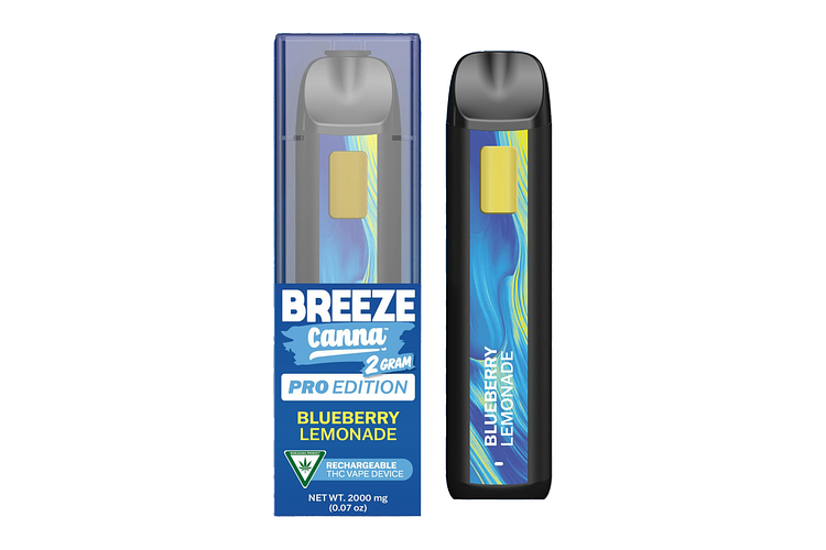 Blueberry Lemonade Disposable Vape | 2g by Breeze