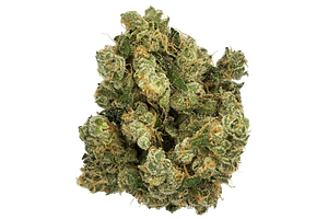 Terpee Slurpee Bulk Flower by Intrinsic