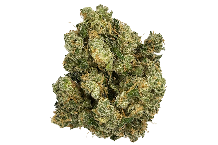 Terpee Slurpee Bulk Flower by Intrinsic