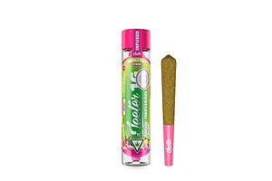 Prickly Pear Infused Pre-Roll | 1g by Jeeter