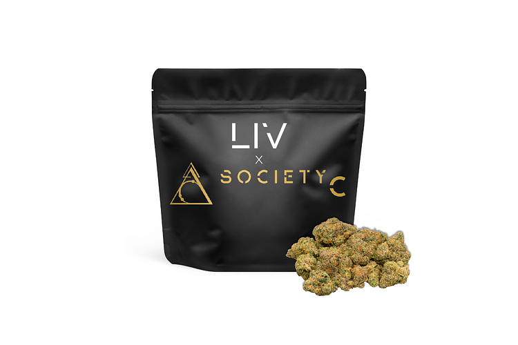 Society C | Vice City Pre-Pack | 3.5g by Society C